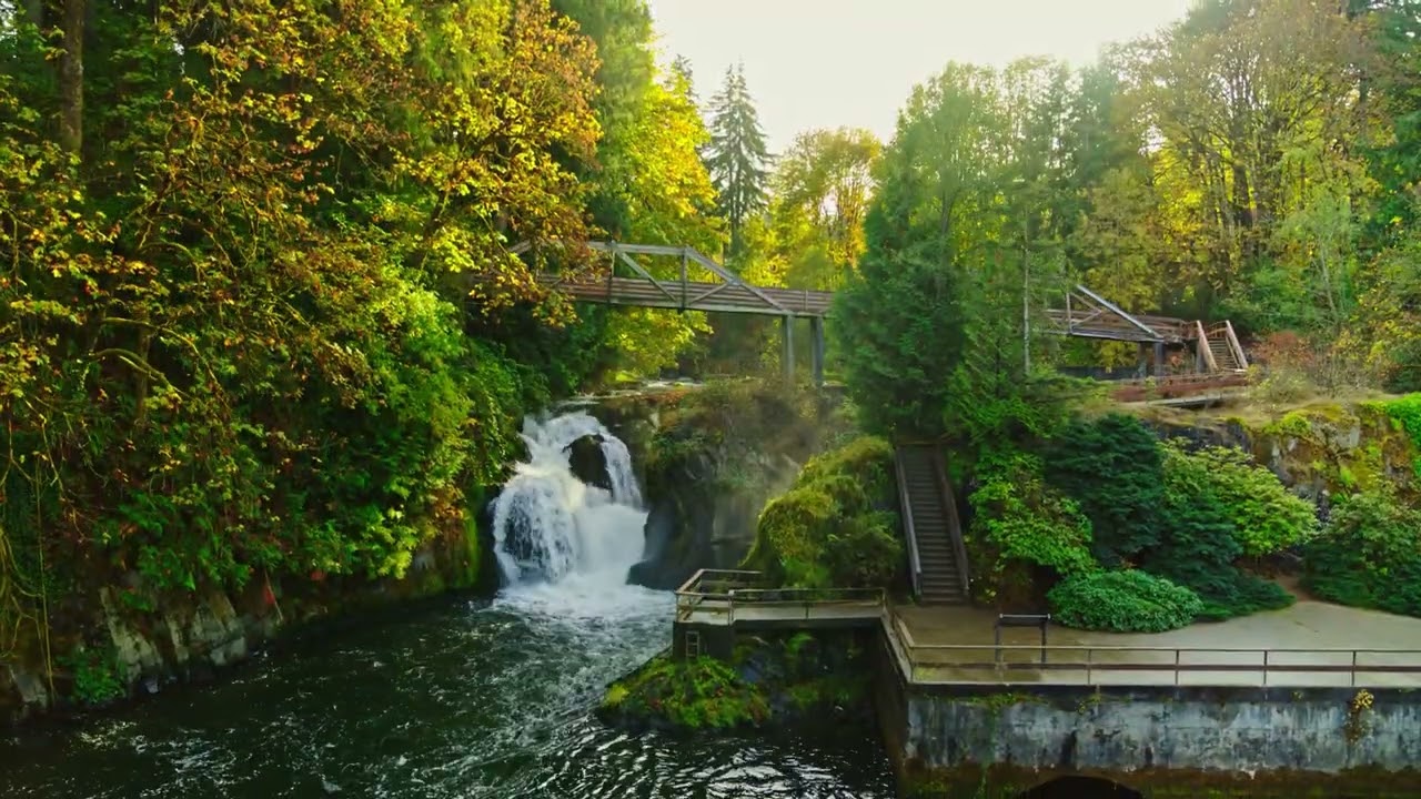 Welcome to Brewery Park at Tumwater Falls