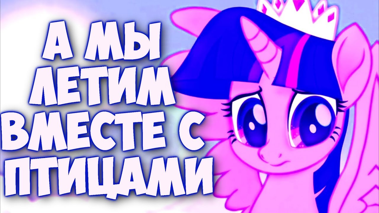 ◄PMV- А мы летим вместе с птицами►