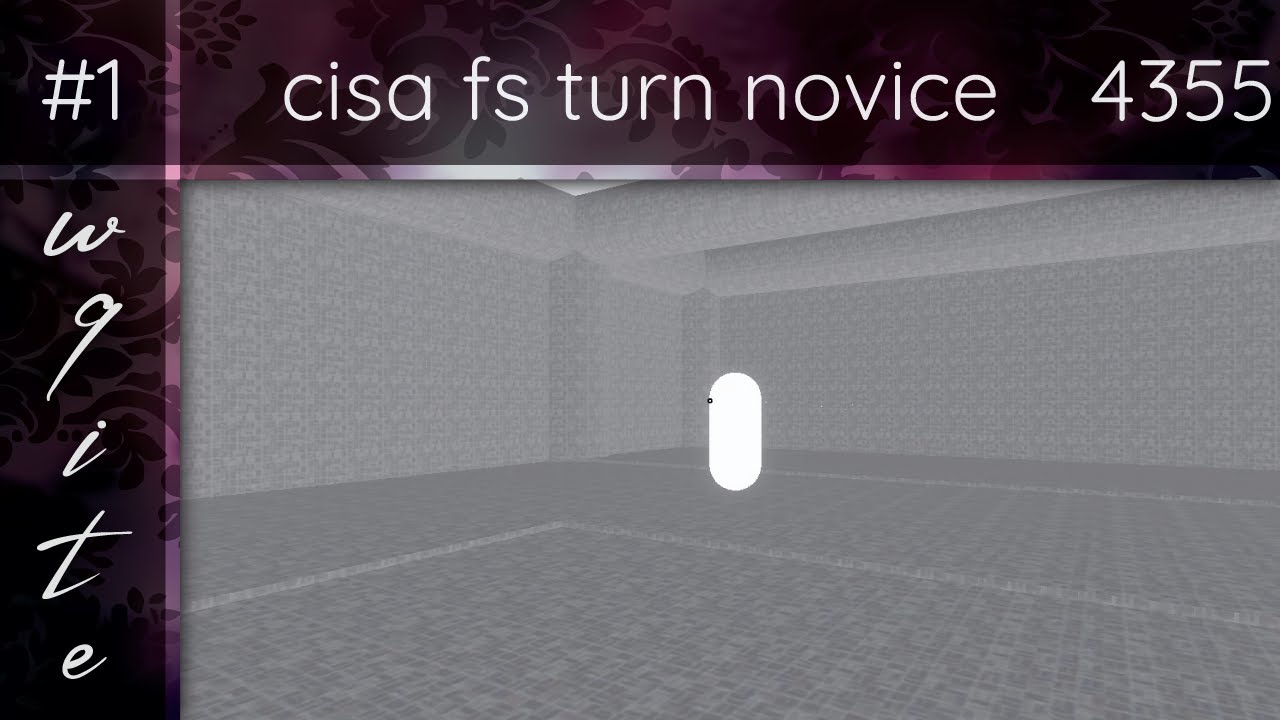 #1 cisa fs turn novice Aimbeast