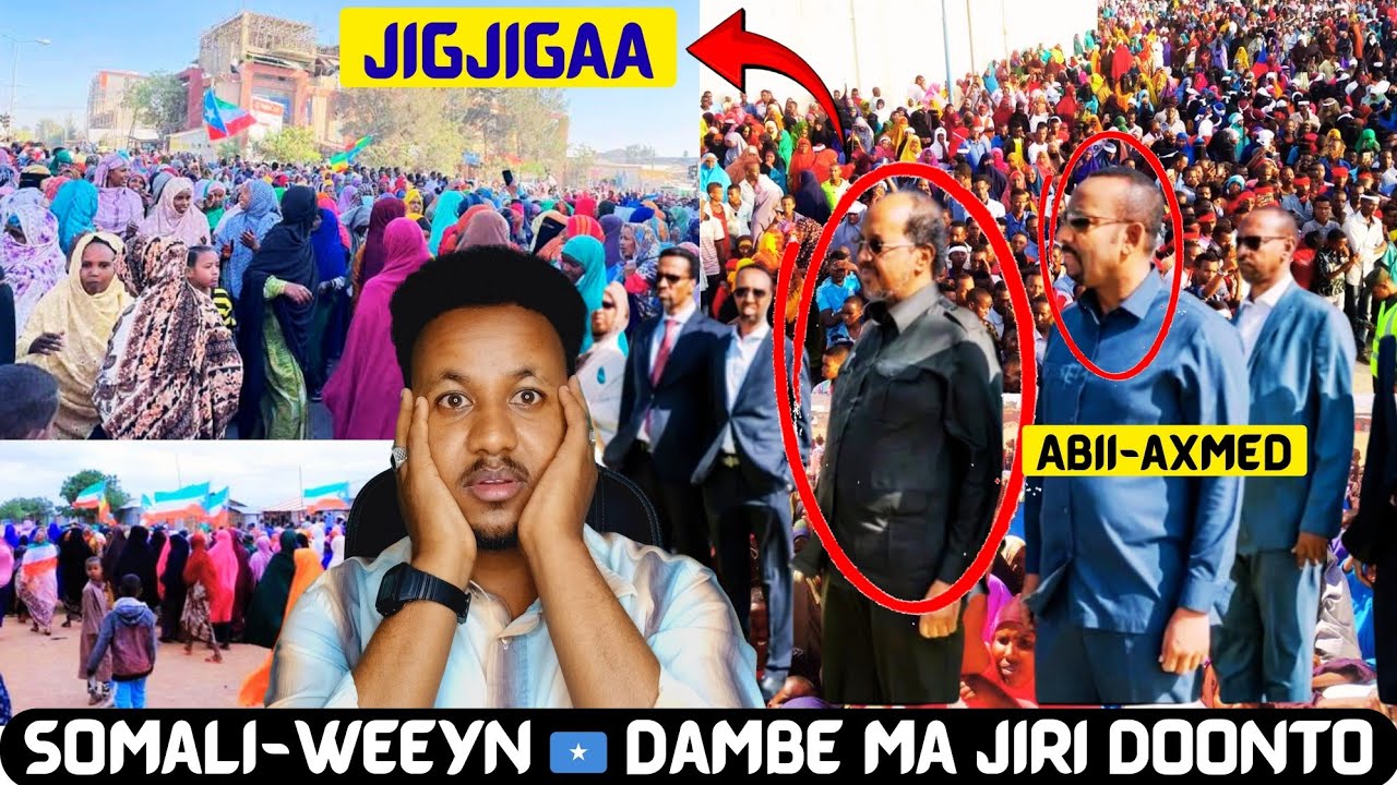 Abii Axmad Oo JIGJIGA kusoo Dhaweeyey MW Xassan Sh Iyo MW Ismacil Cumar Geele Lkn Why Xasan U Tagey
