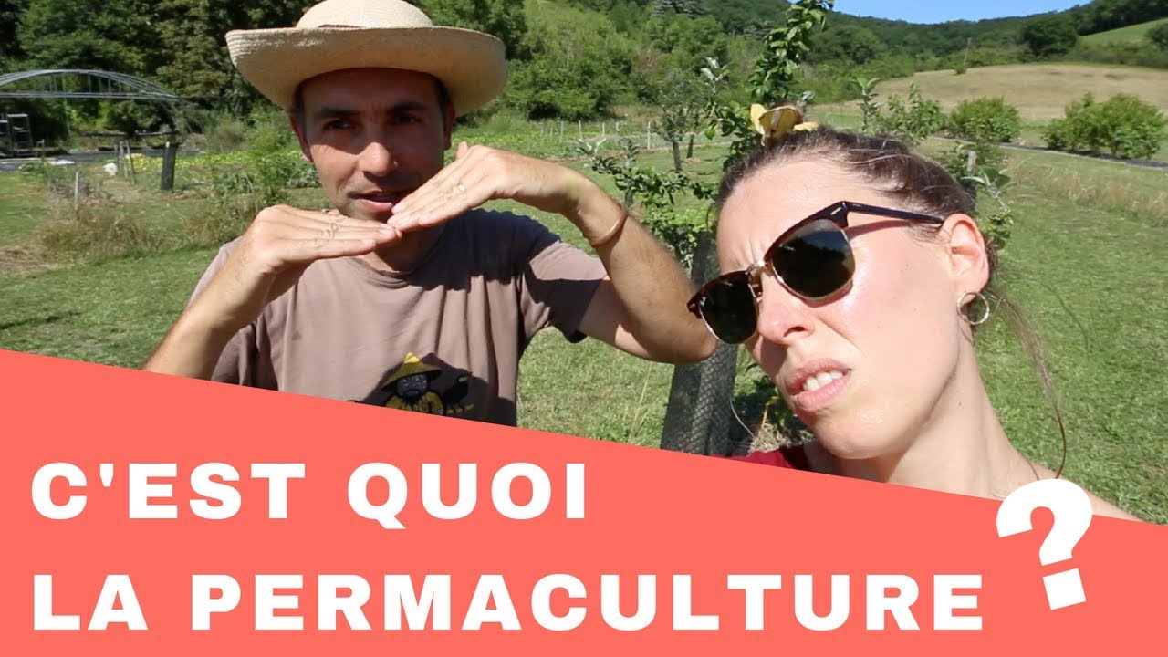 C'EST QUOI LA PERMACULTURE ? (feat. Permaraicher)