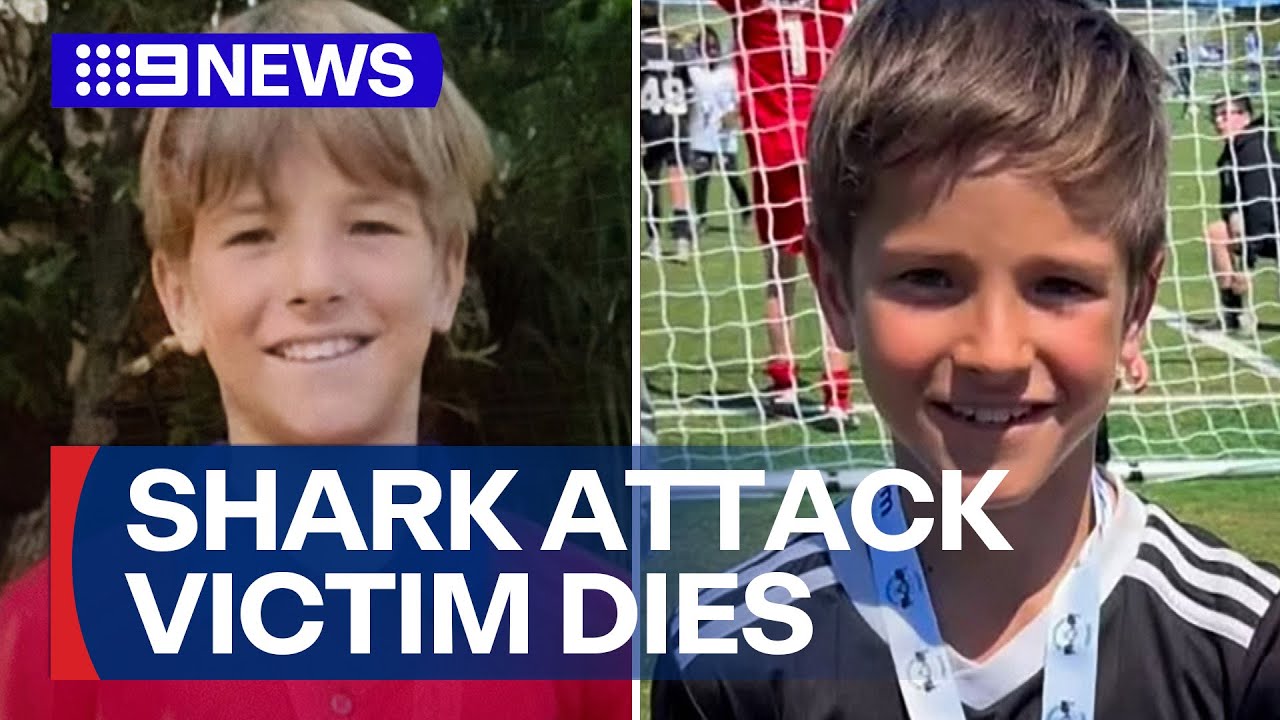 12-year-old shark attack victim dies in hospital | 9 News Australia
