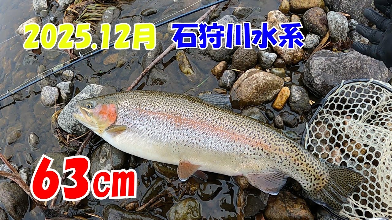 【ルアー釣り】2025.12月　石狩川水系　初めて60オーバーの虹鱒釣っちゃいました