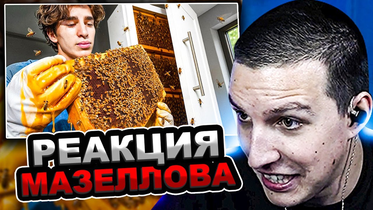 МАЗЕЛЛОВ СМОТРИТ Выращиваю 10 000 пчёл (у себя дома) / Симуляция муравьиной колонии на 1000 дней!