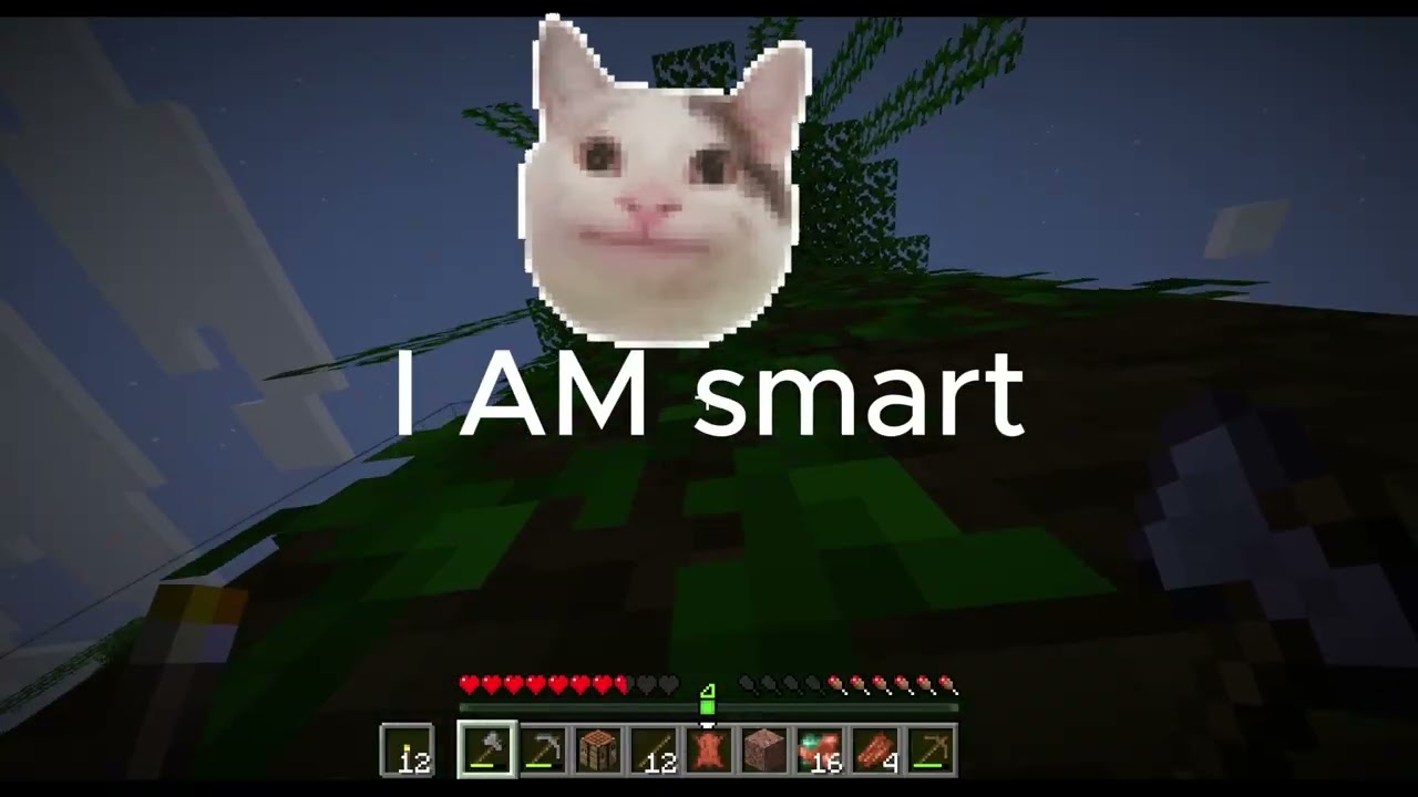Playing Survival MInecraft with My friend