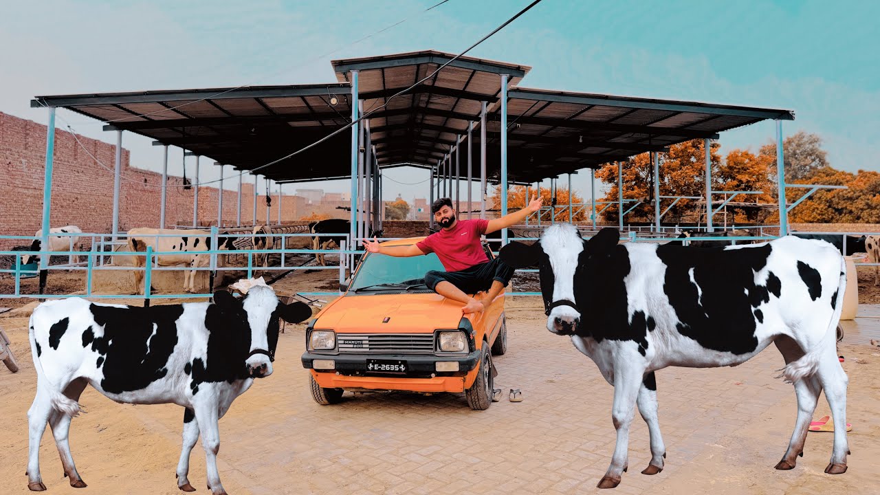 Visited my daliyfarm🛖 and farming 🏝️🏝️
