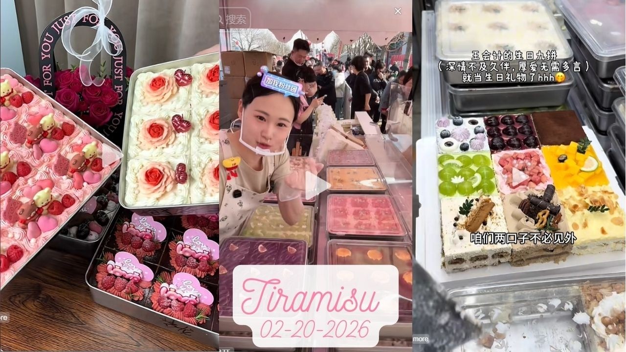 Tiramisu Cake Livestream Sale (109 trays)|Zhao Zhao #02202026 #tiramisu #cake #dessert