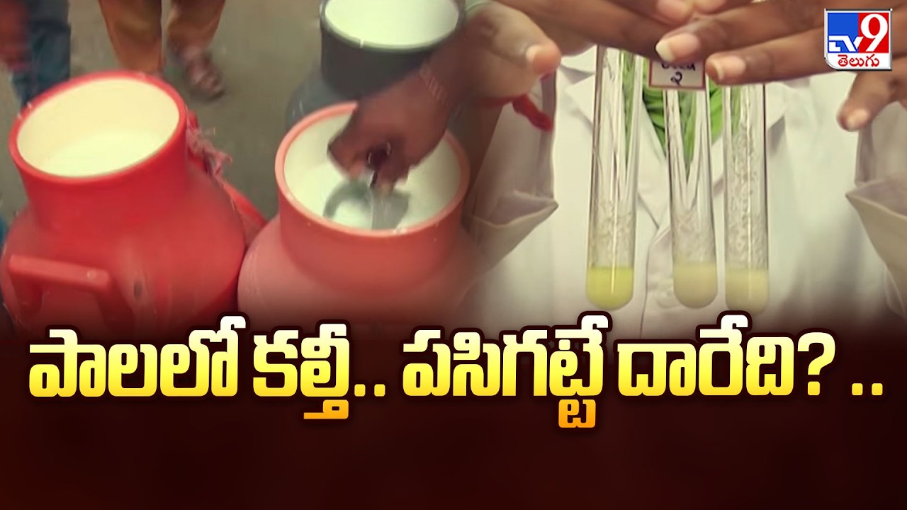 TV9 Exclusive Report on Vijaya Dairy Allegations | How to Check Milk Purity? - TV9