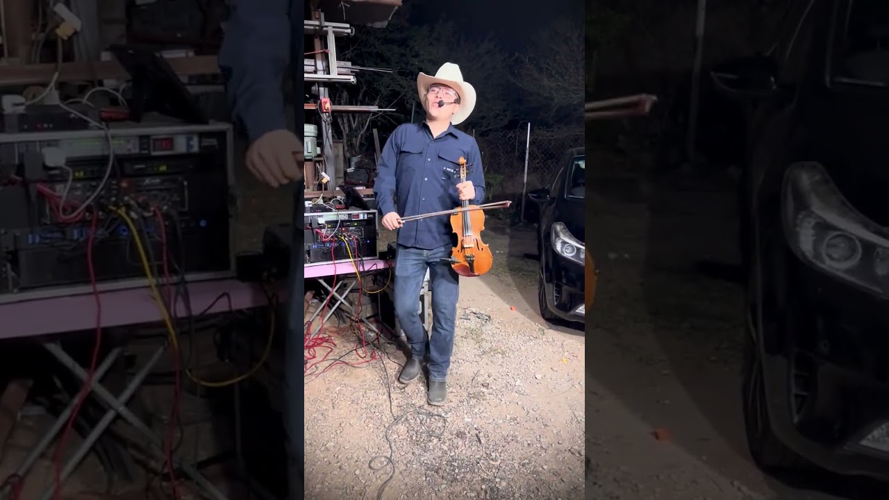 El Venado - Trio Dinastia Tamaulipeca En Vivo 