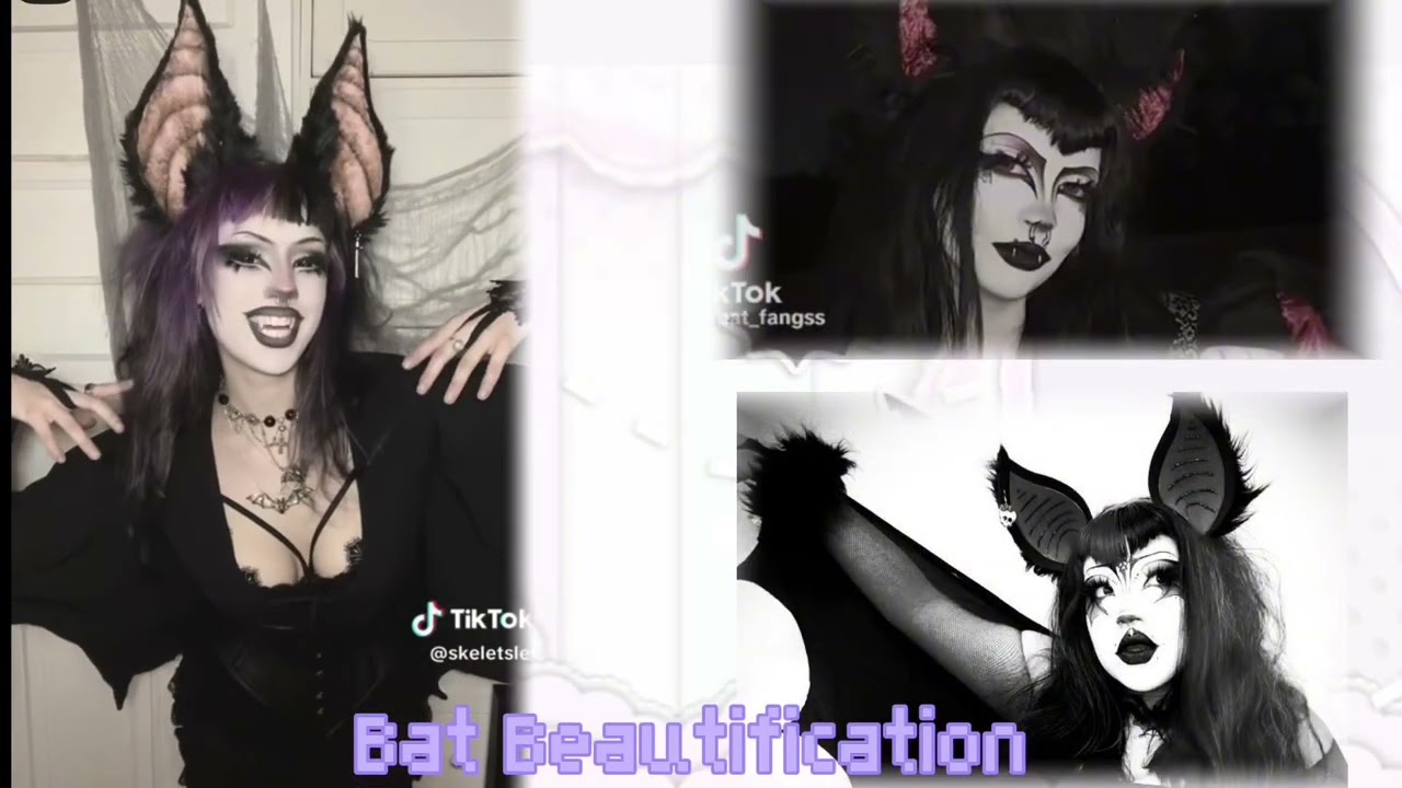 (Calm ver) 𝘉atgirl 𝘉eautification ⁺‧₊˚ ཐི⎛|\ ^•⩊•^ /|⎞ཋྀ ˚₊‧⁺