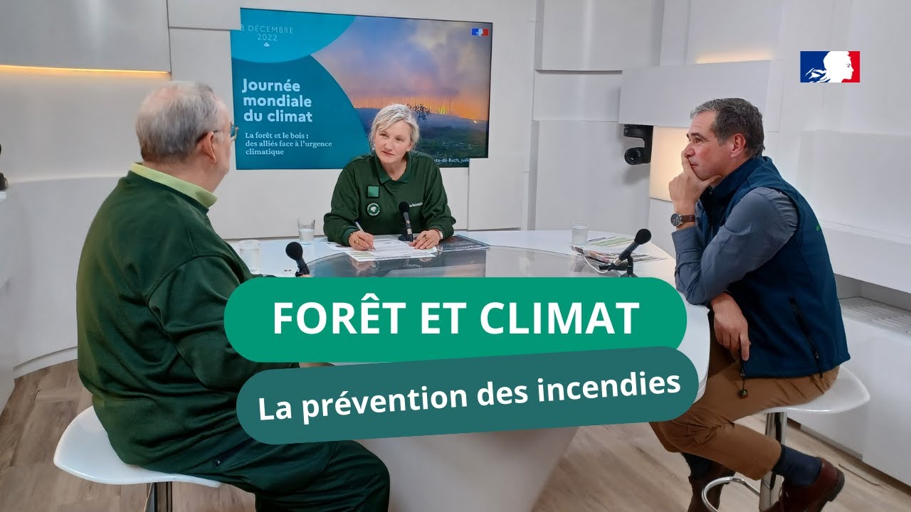 Comment les forestiers se préparent à la prévention des incendies face au réchauffement climatique?