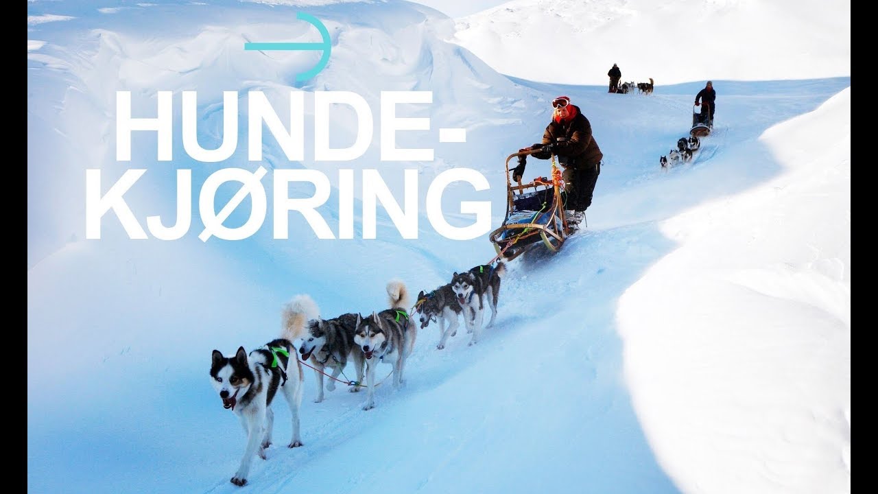 HUNDEKJØRING