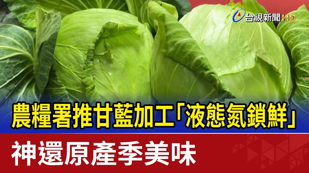 農糧署推甘藍加工「液態氮鎖鮮」 神還原產季美味