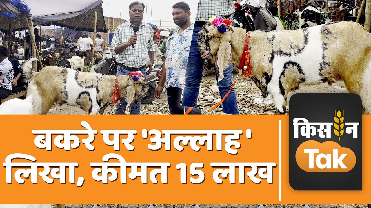 Bakrid 2023: Urdu Bazaar में इस बकरे की कीमत है 15 लाख रुपये, जानें क्यों है इतना महंगा | Kisan Tak