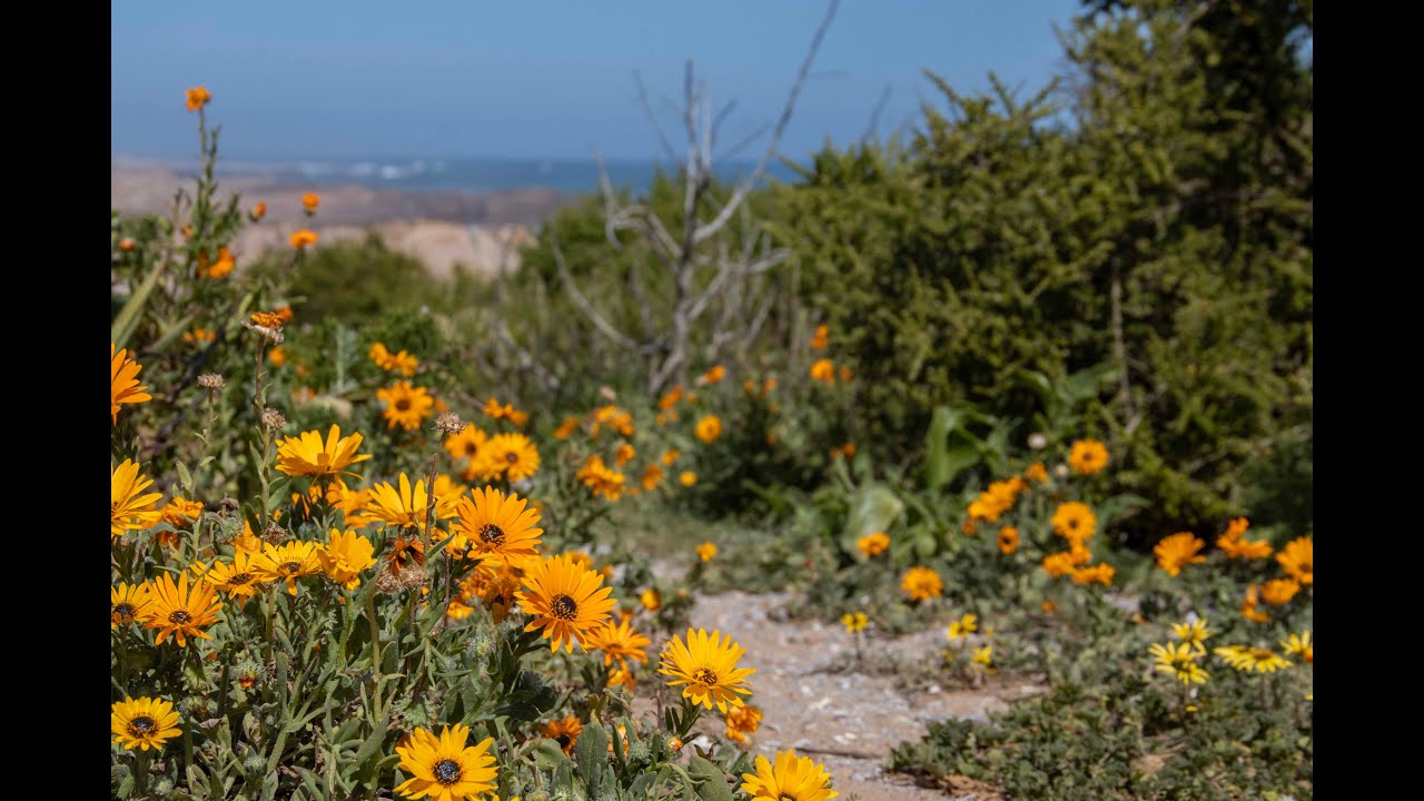 Where to stay along the West Coast and Kalahari