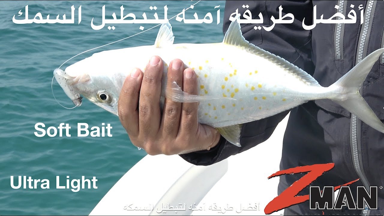 Z-man Soft Bait General information