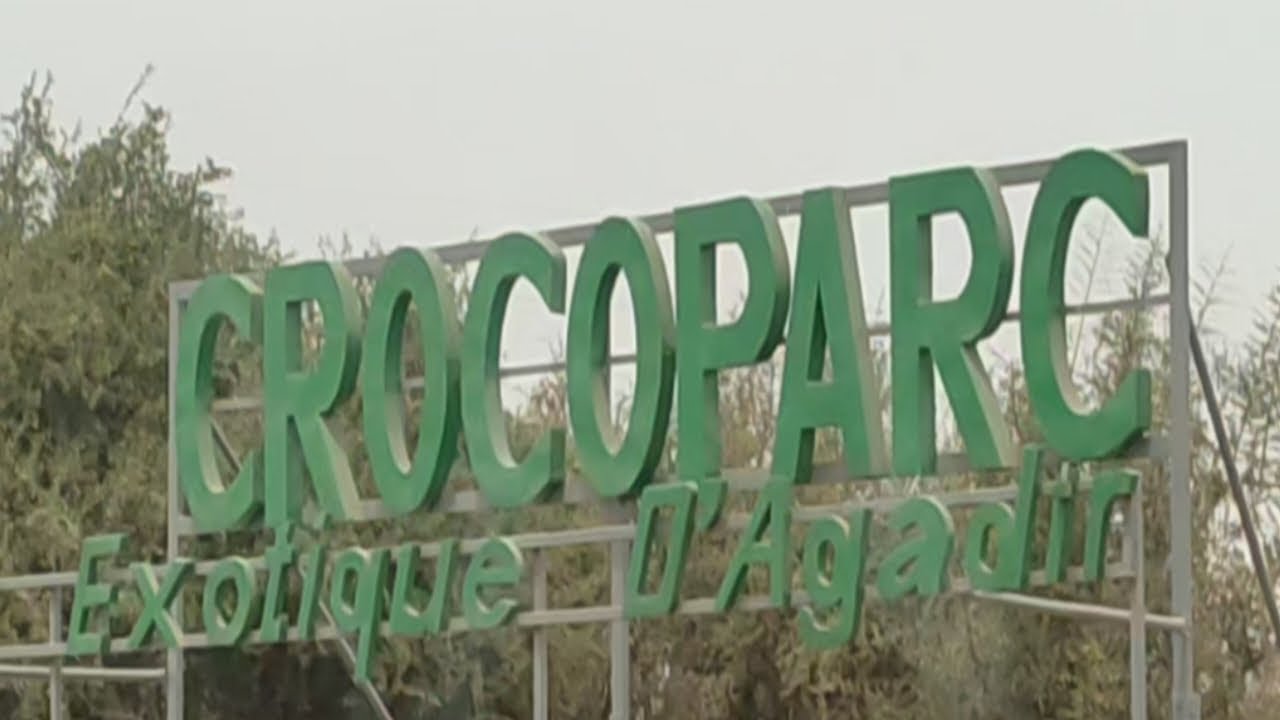 في طريقنا لحديقة التماسيح الجزء التاني#crocodile #crocoparc #marocco #agadir