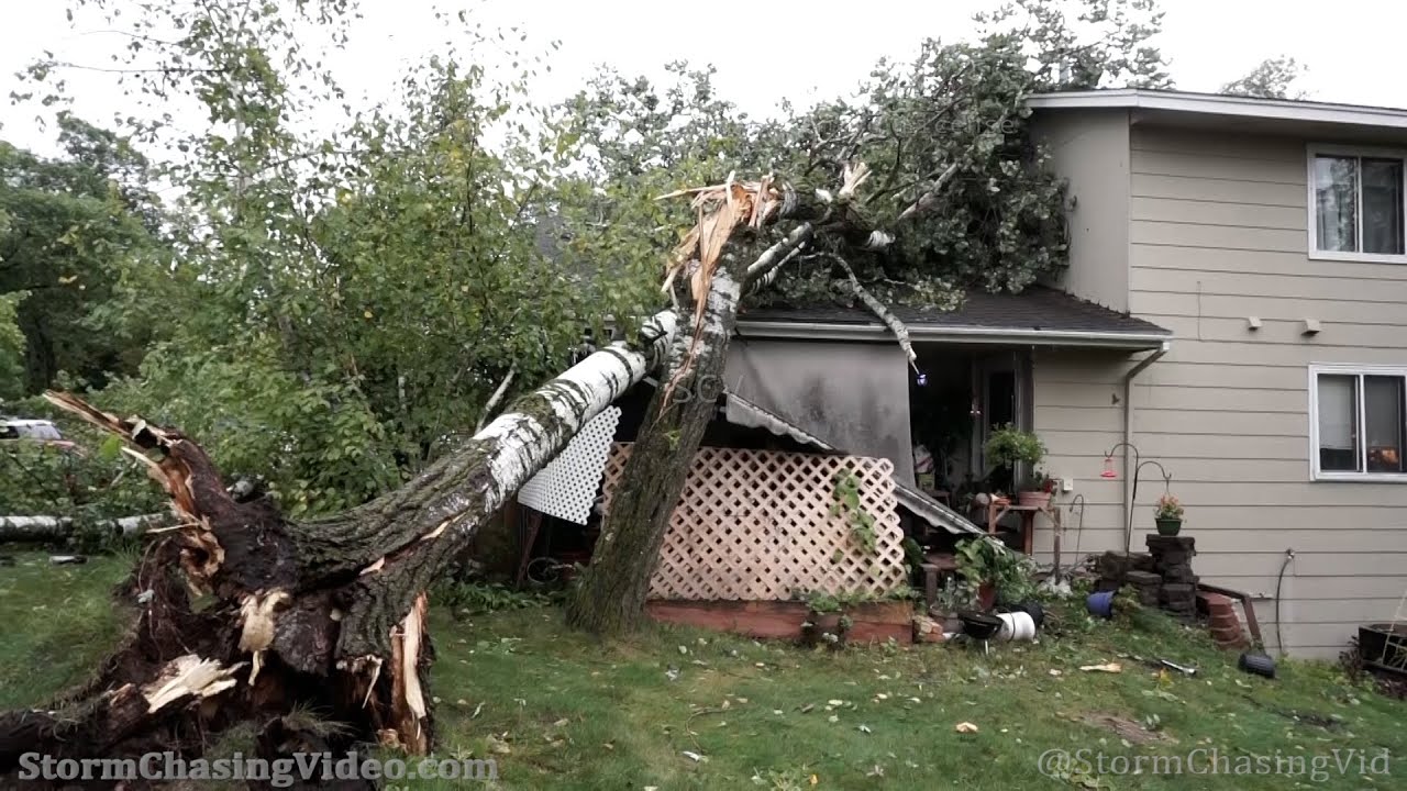 Significant Straight-line Wind Damage, Eagan MN - 09/17/2021