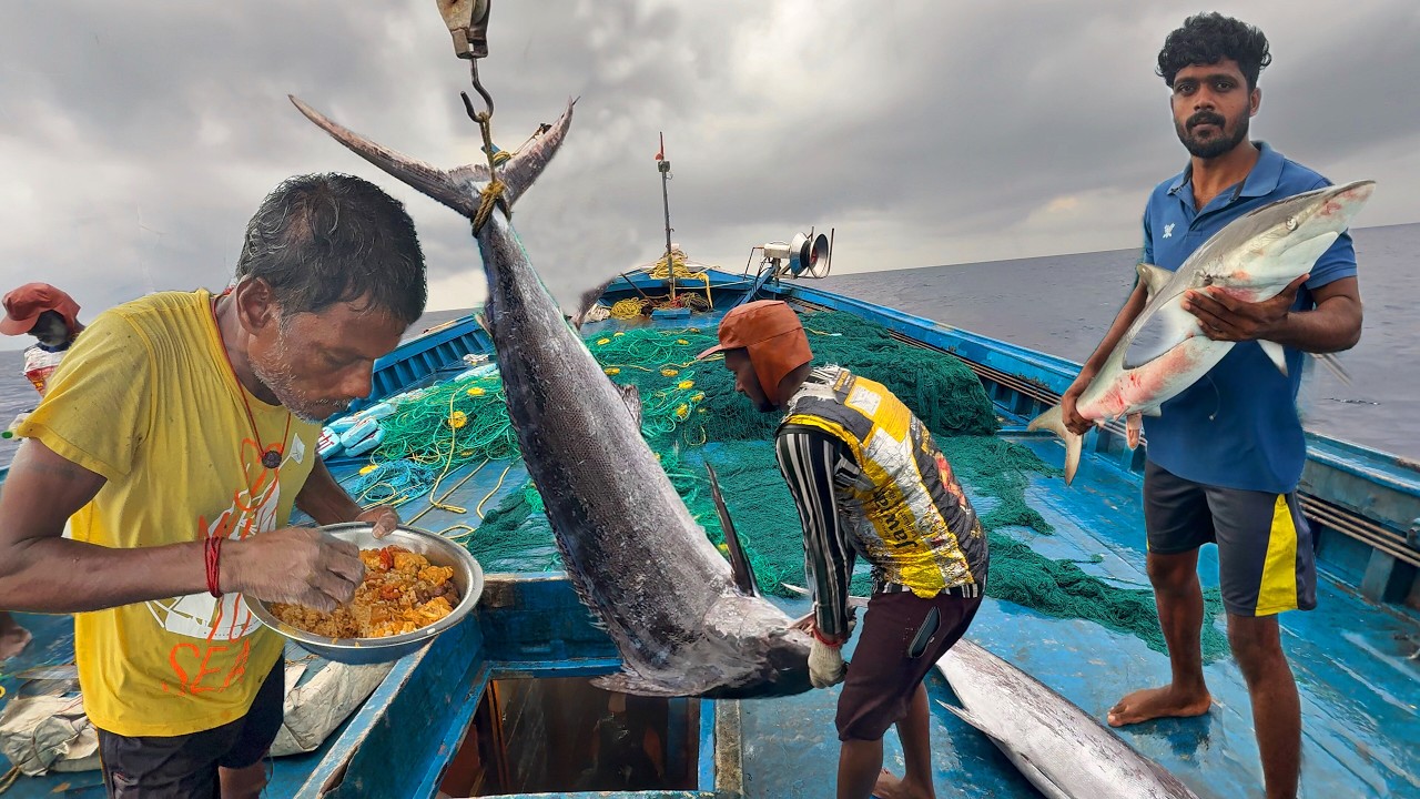 WOW! We Stay at Sea for the Second Day of Fishing! “Ultimate Seafood Feast on the Open Sea!”