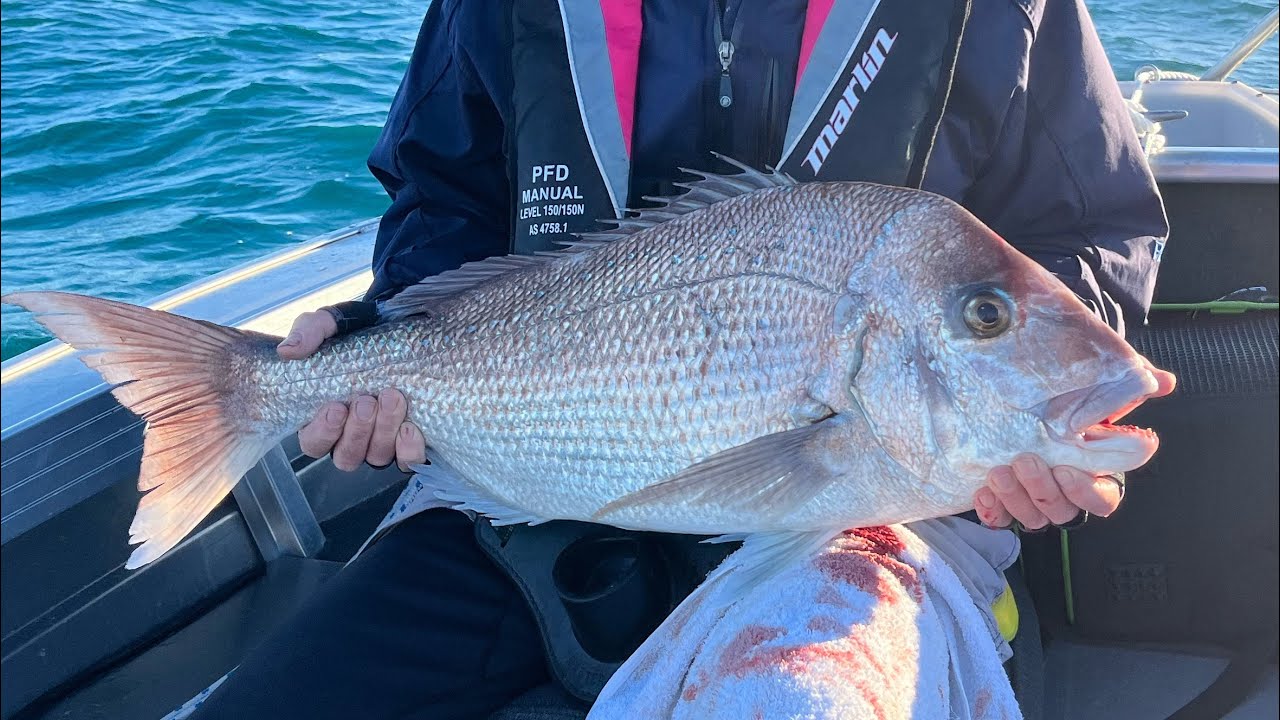 Big snapper! Tinny fishing Perth