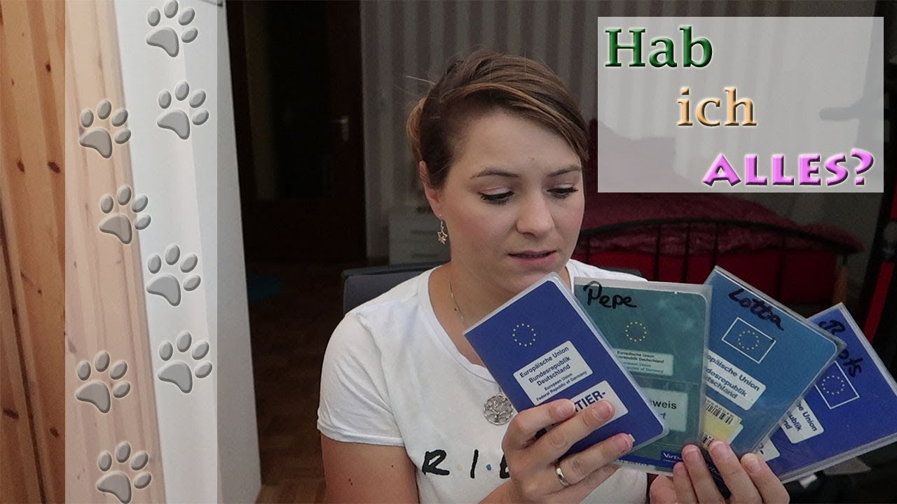 Urlaubsvorbereitungen, Packliste | Hundekanal | Cairn Terrier