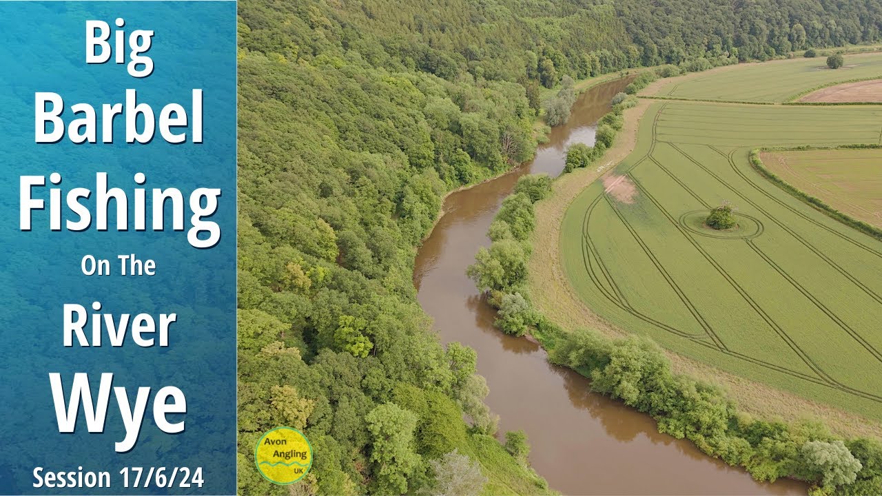 Barbel Fishing - Big Day Ticket Barbel On The River Wye - Approach & Tactics - 17/6/24 (Video 501)
