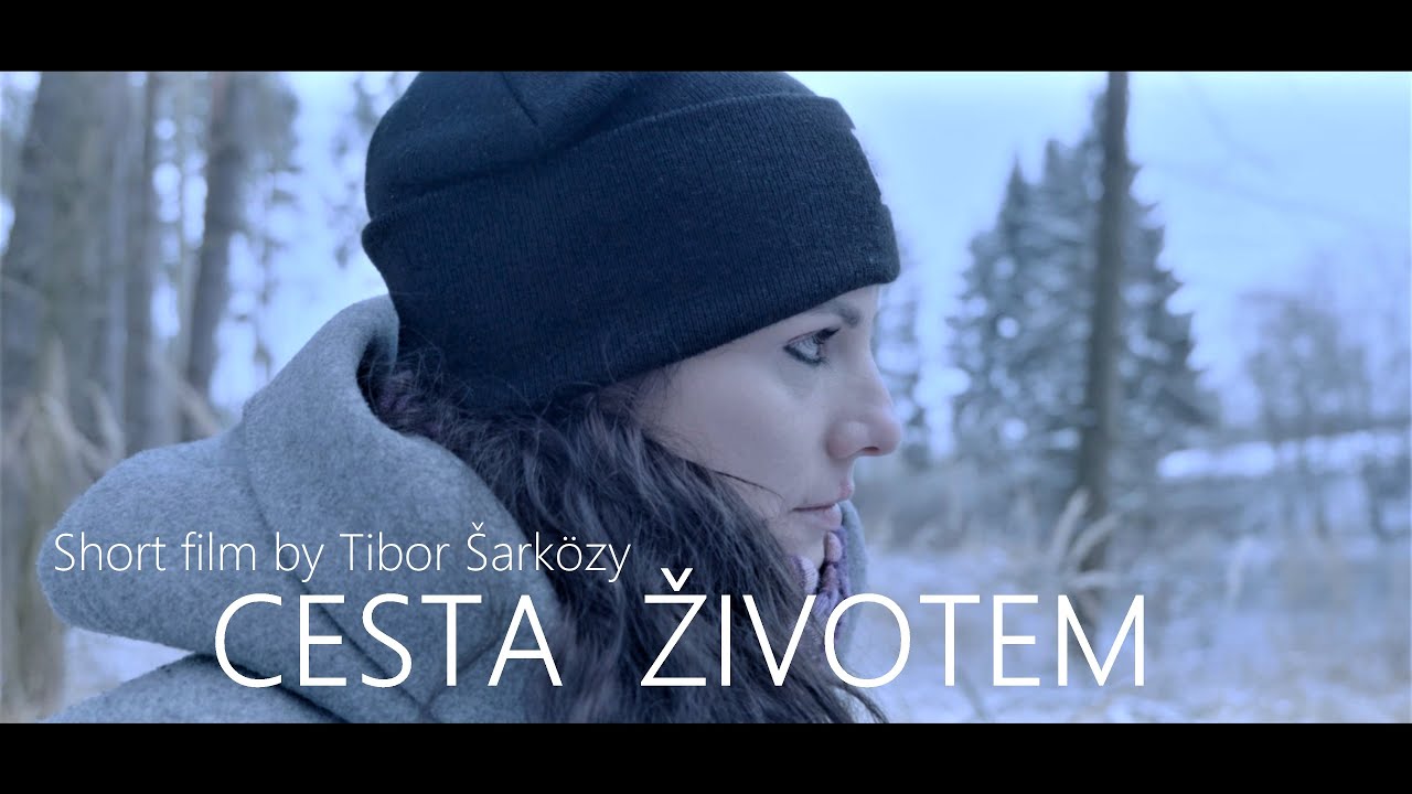 Cesta životem