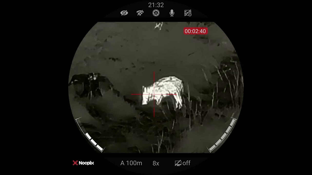 Wildboar, NOCPIX ace 35L, 80m