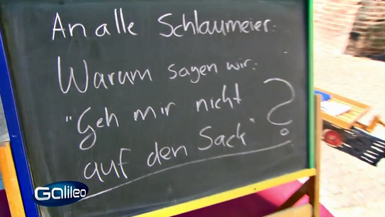 Galileo Schlaumeier: Auf den Sack gehen | Galileo