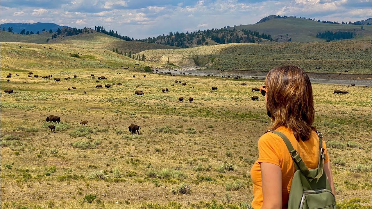 Que Ver en Yellowstone National Park, Dia 3 / Consejos Tips para Visitar Yellowstone / Ep 07/24