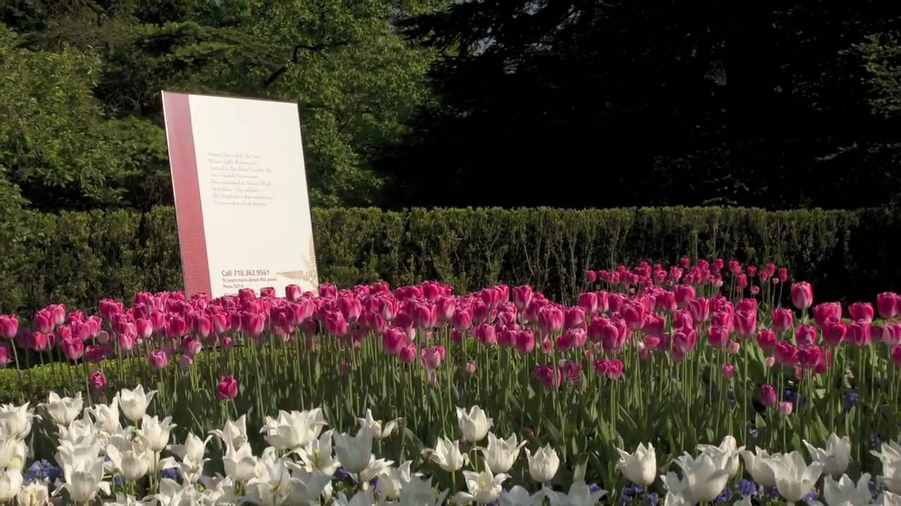 Emily Dickinson: The Poetry of Flowers
