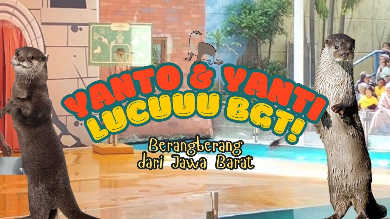 YANTO & YANTI BERANG-BERANG YANG LUCUUUUU BANGET !! 🤩😍