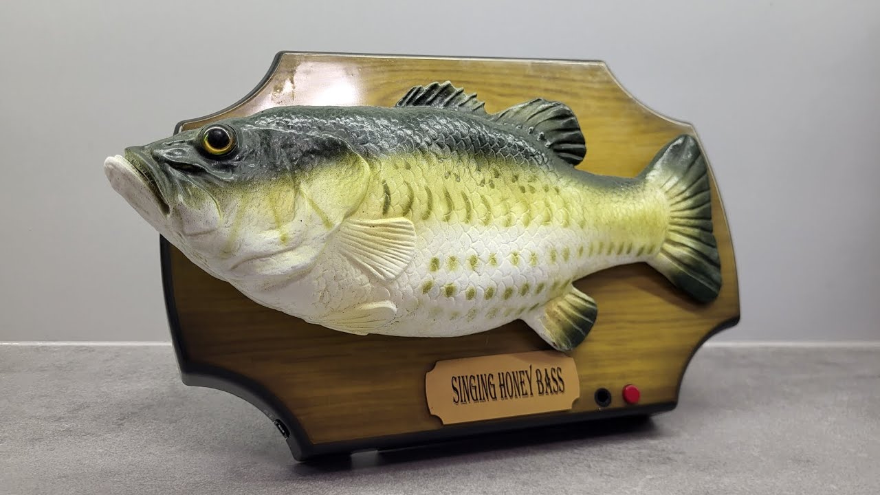 Singing Honey Bass