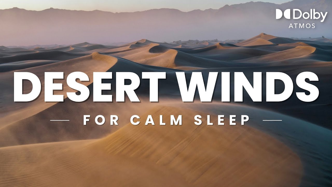 Desert Wind Sounds | 8 Hours Sounds for Sleep, Calming or Relaxation | Nature White Noise