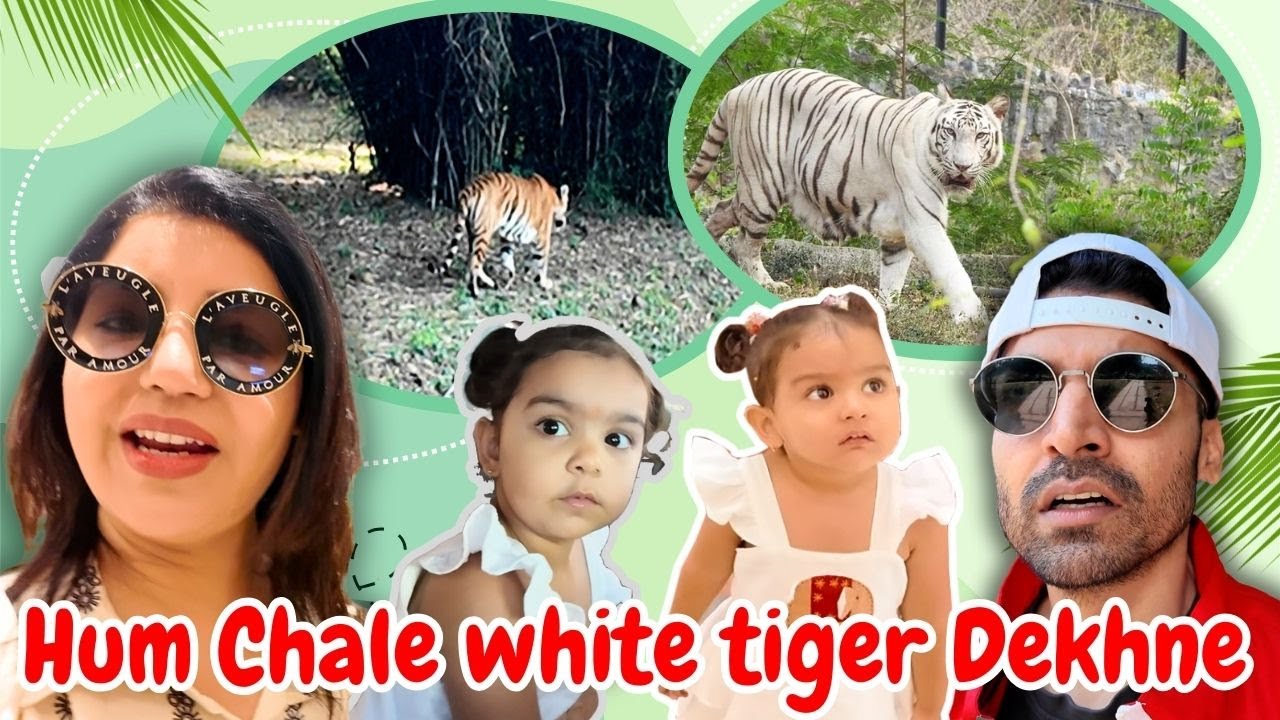 Exploring Bhopal together | HINDI | WITH ENGLISH SUBTITLES | Debina Decodes |