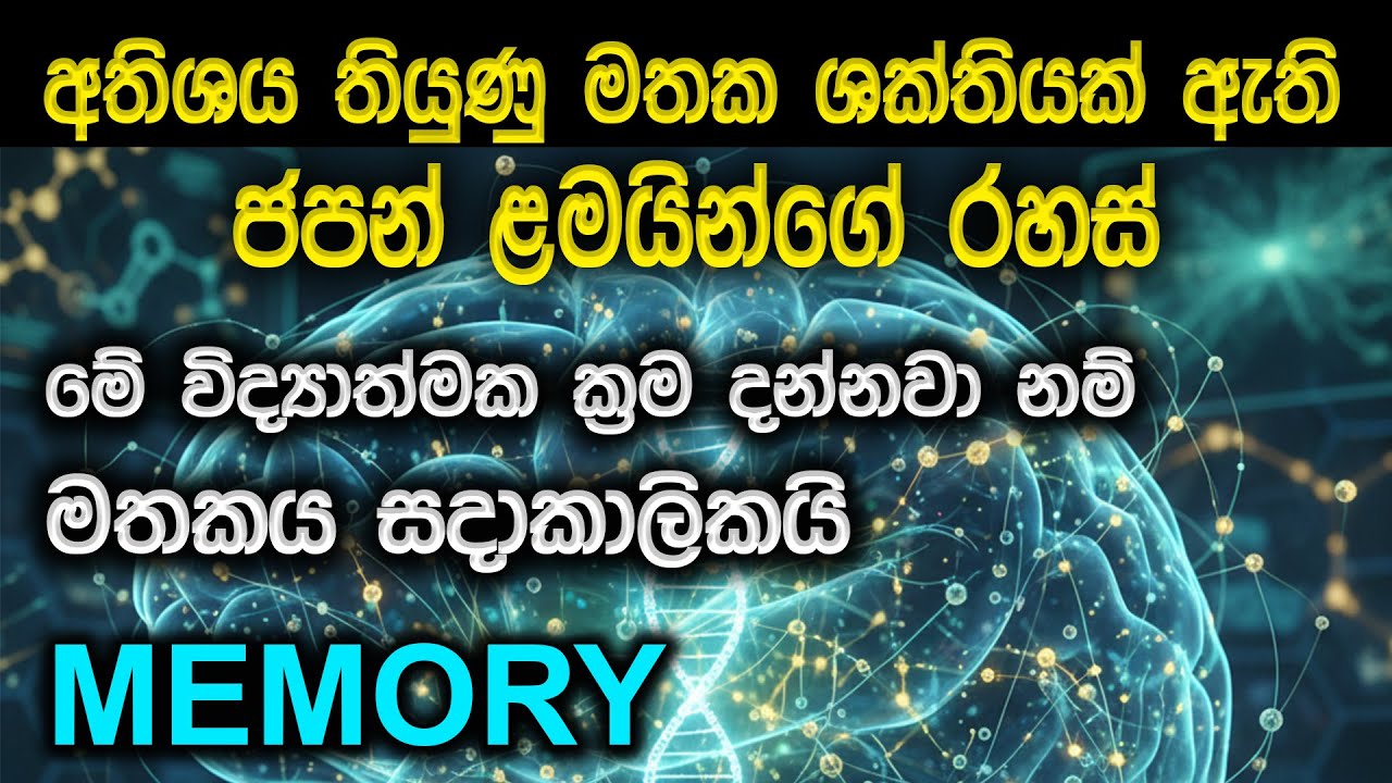 මොළයේ මතක ශක්තිය වැඩි කරන විද්‍යාත්මක රහස් ක්‍රම | Memory Power Science Explained සිංහලෙන්