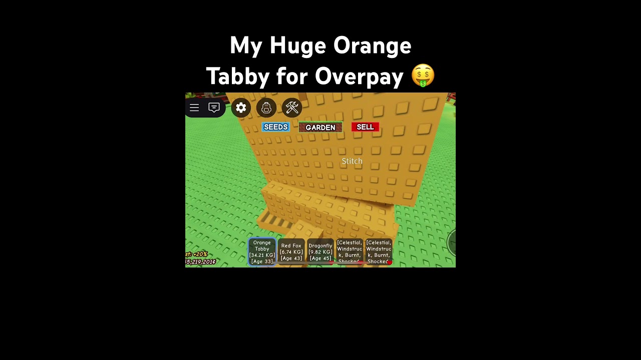 Huge Orange Tabby for Dragonfly & 2 Redfox #roblox #growagarden #mm2