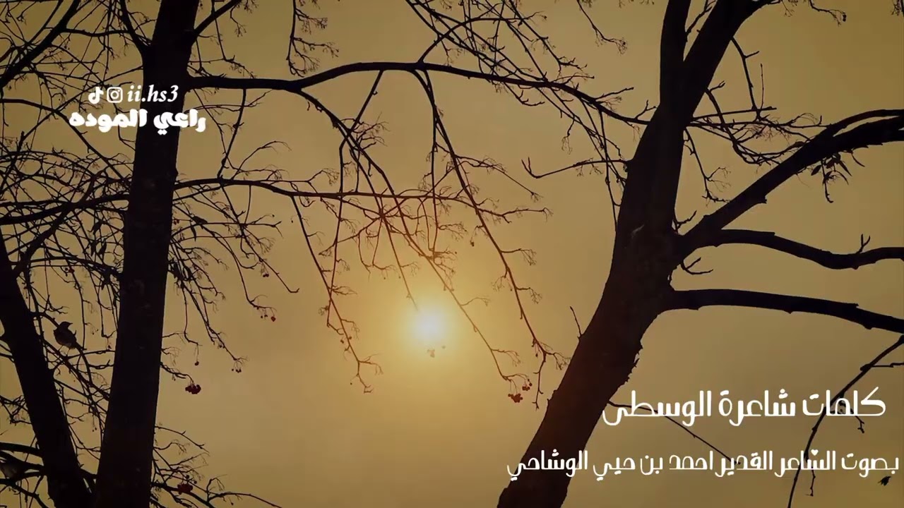 يازين-احمد بن حيي الوشاحي