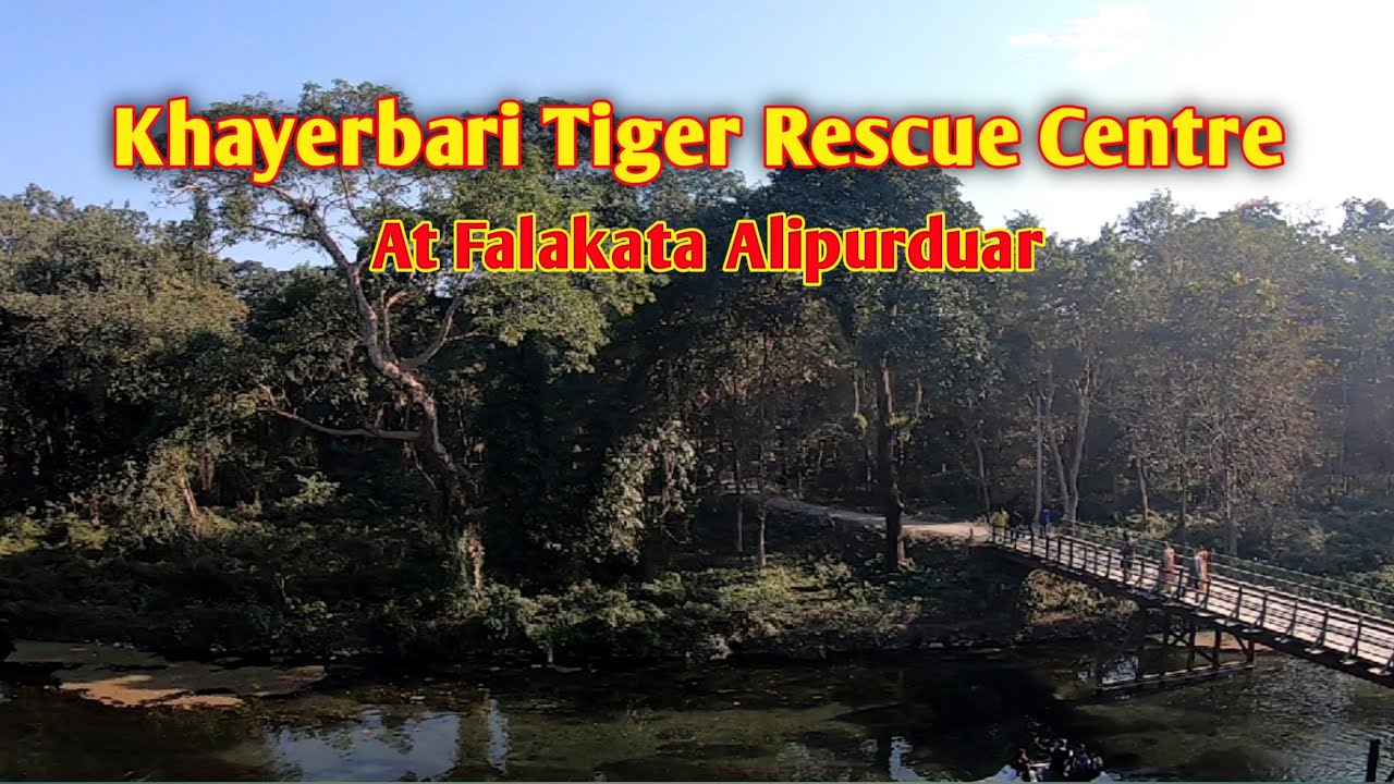 Khayerbari Tiger Rescue Centre 🐅 || Leopard and Royal Bengal Tiger Rescue Centre, South Khayerbari