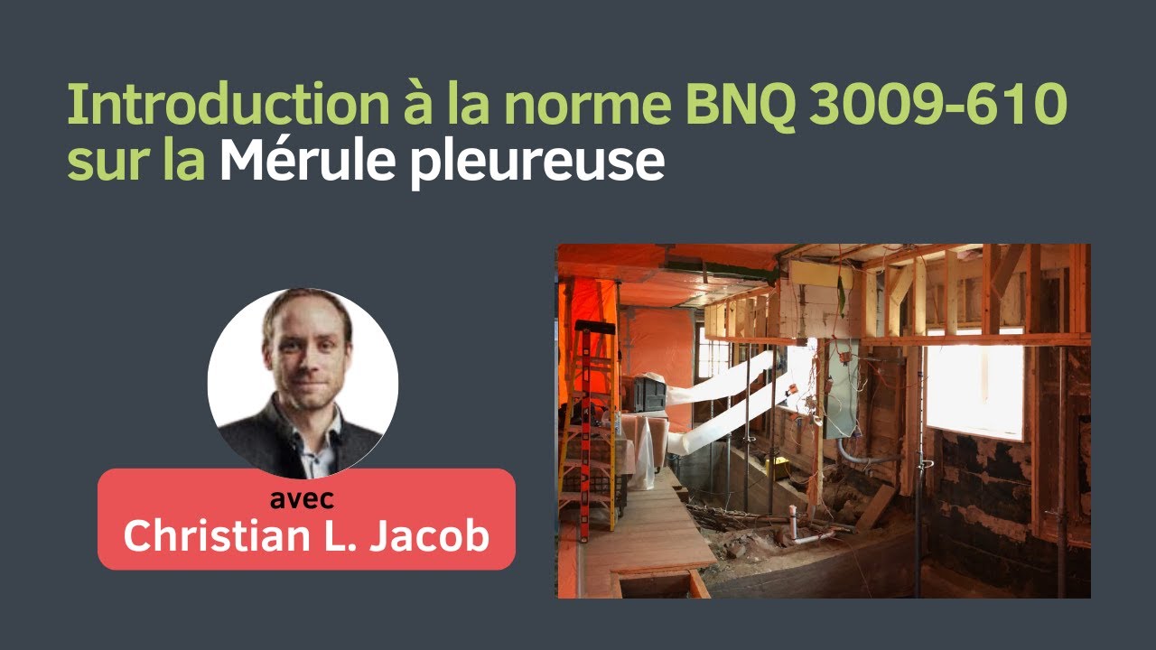 La norme mérule, c'est quoi?