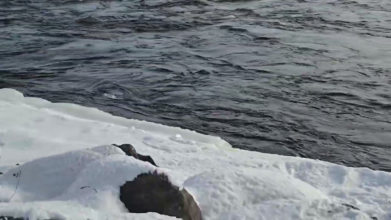 04 janvier 2026 /13h24/-12°c/ Parcs des Rapides #lasalle #montreal #quebec #canada #vagues  #parcs 