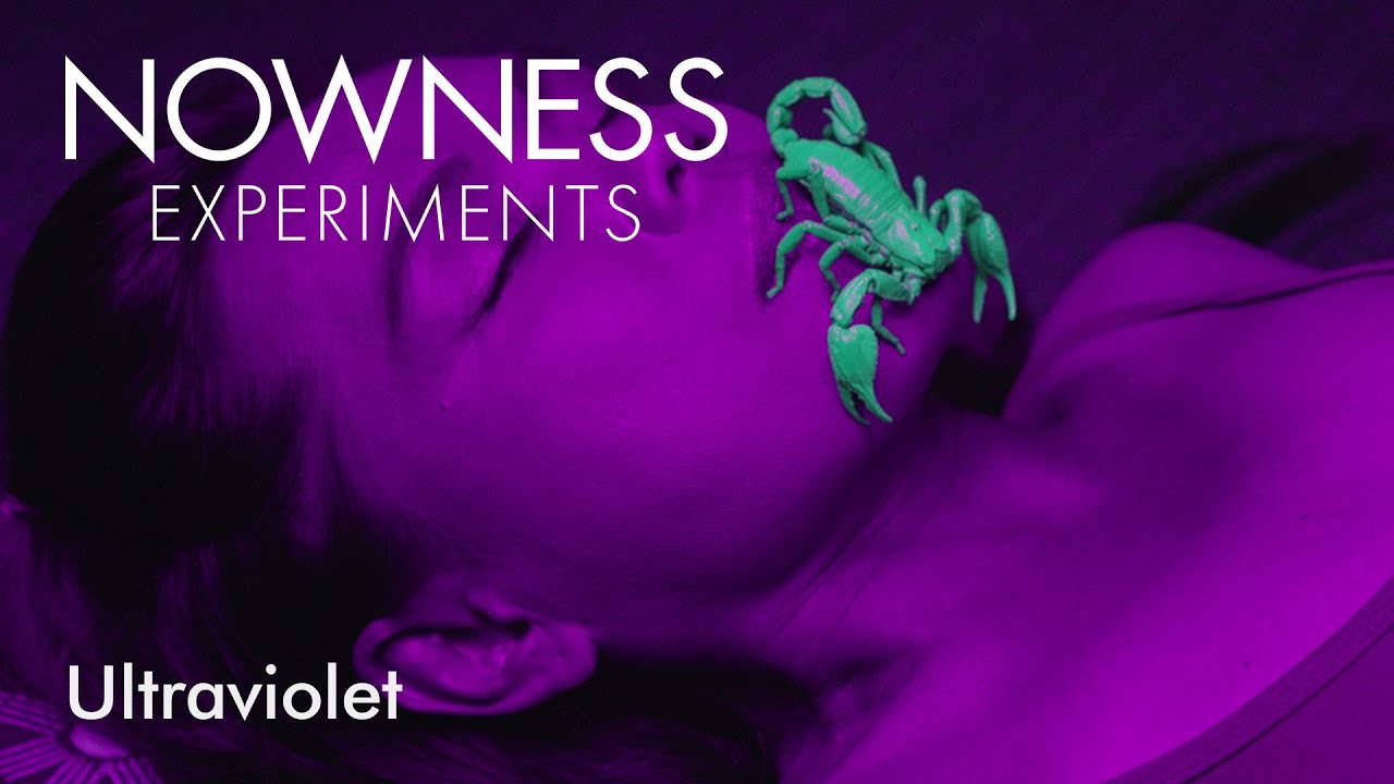Get up close with glow-in-the-dark scorpion video art