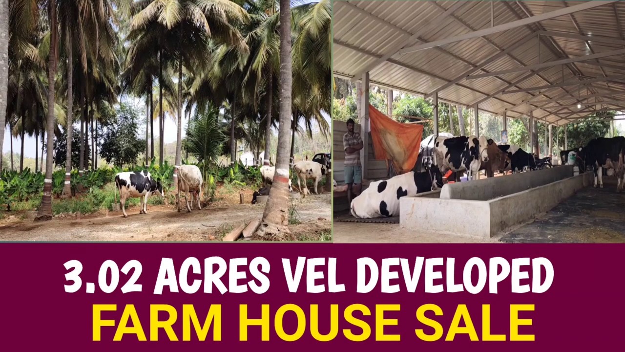 **Lavish Farm House With Cattle, Tractor & Generator For Sale | Chamarajanagar**---