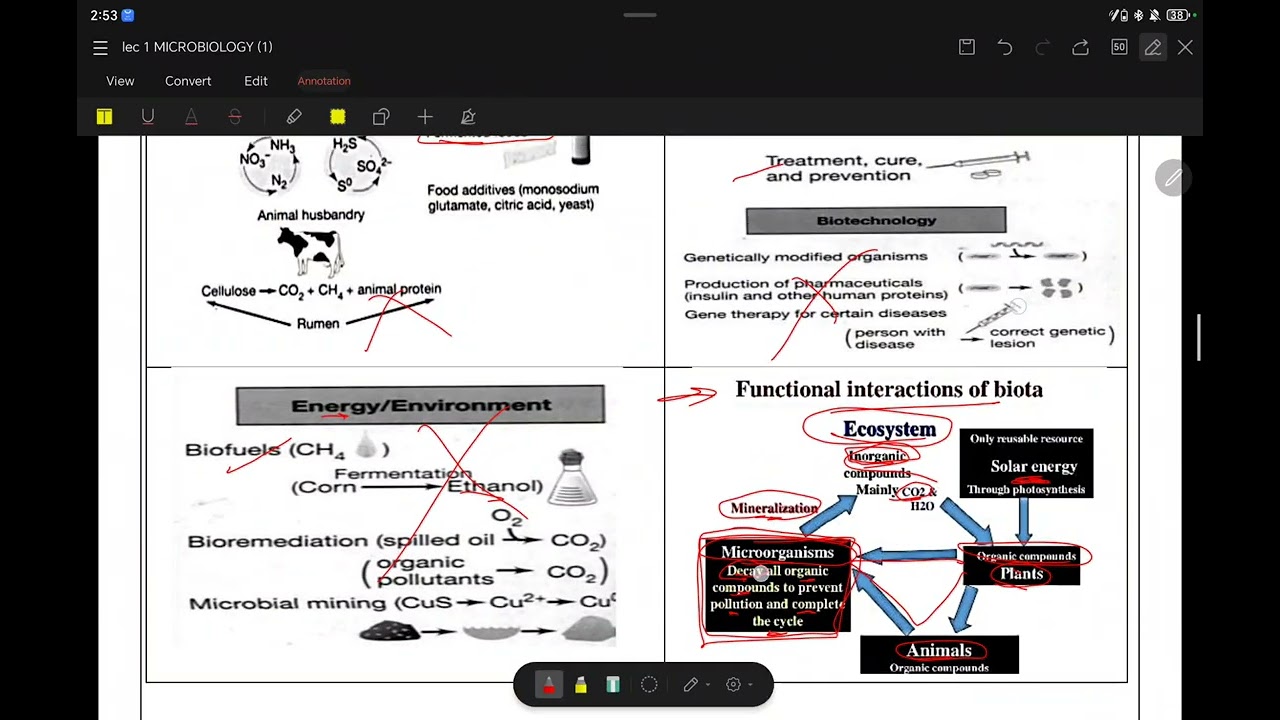 Microbiology lecture 1 (240 SU)
