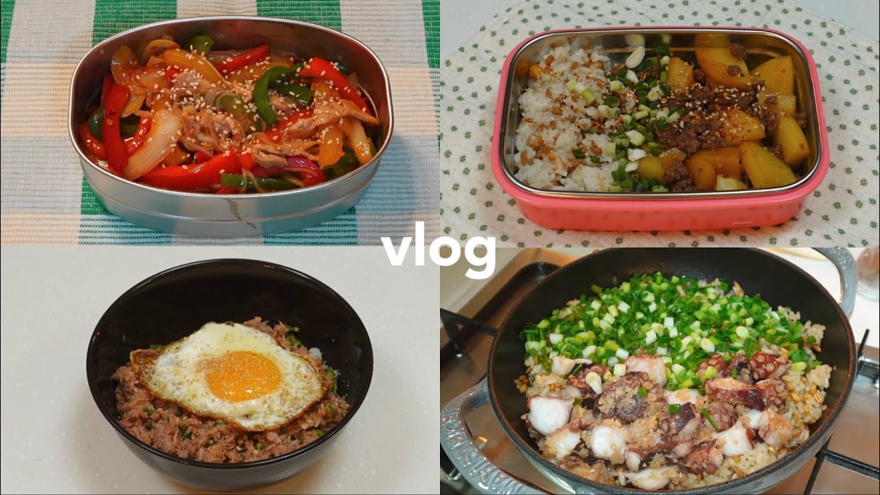 VLOG) 실패없이 맛있는 직장인 점심도시락│고추잡채, 밥도둑 참치캔, 소고기 감자덮밥, 문어솥밥