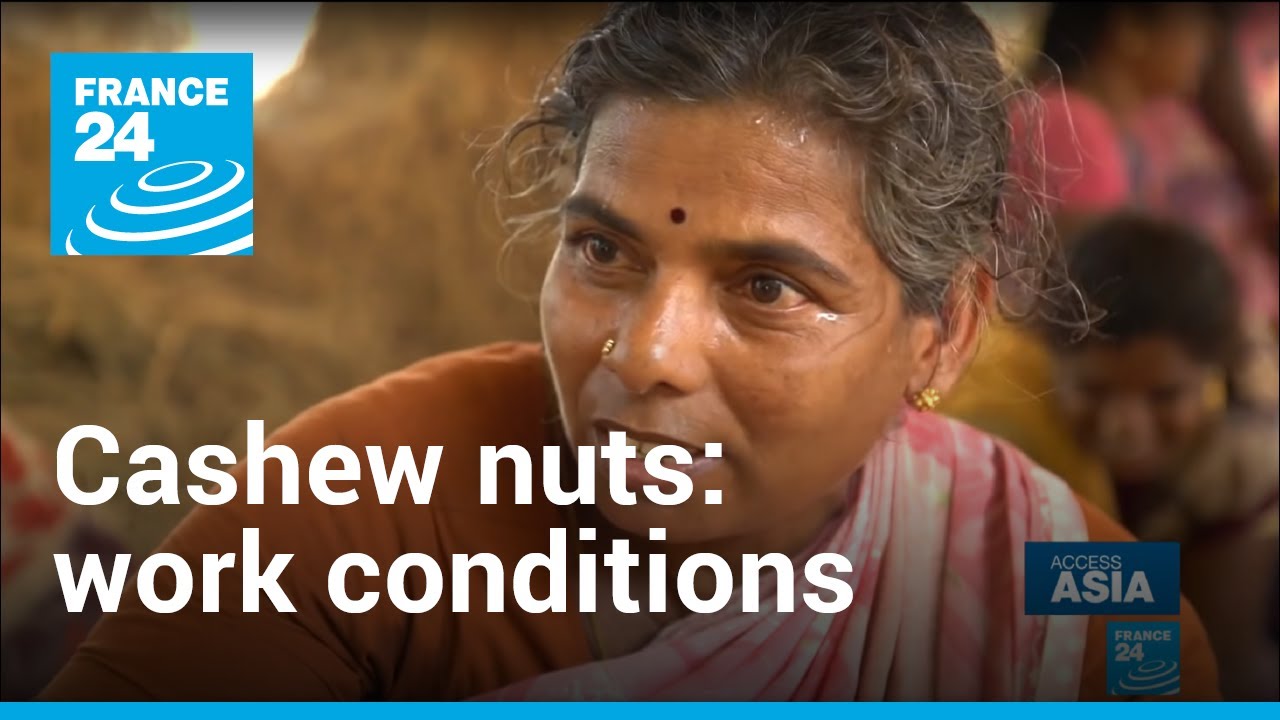 Cashew nuts: Painful working conditions behind popular snack | Access Asia • FRANCE 24 English