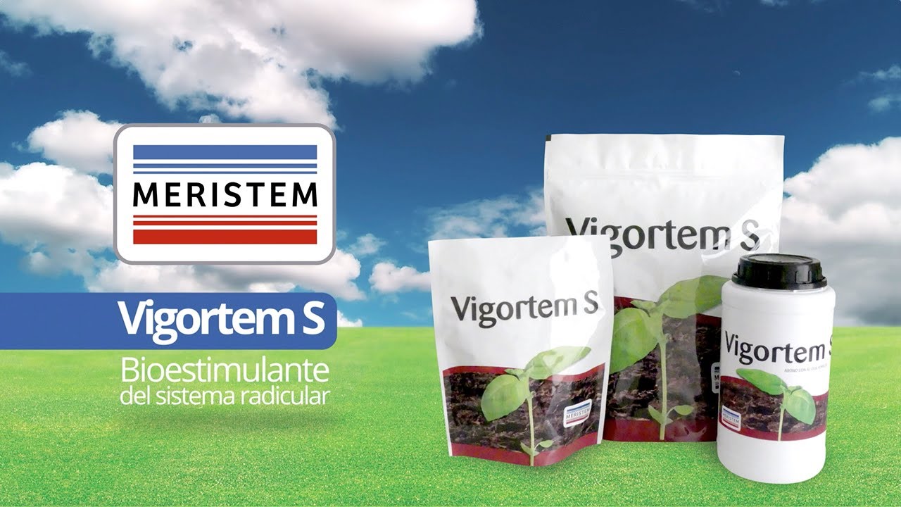 Meristem : : Vigortem S