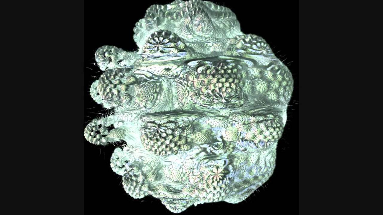 MandelBulb Meets Beethoven