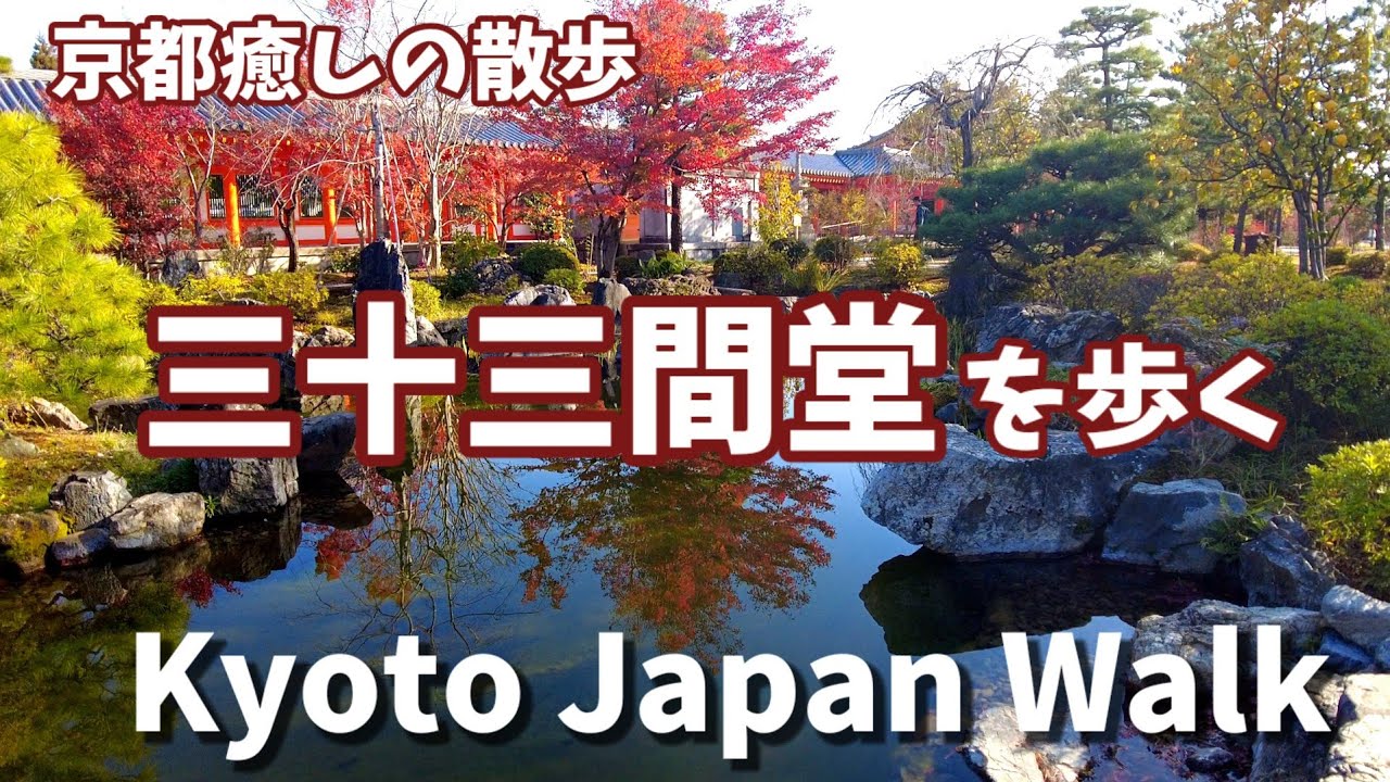 12/9(金)京都癒しの紅葉散策🍁三十三間堂を歩く【4K】Kyoto Japan Walk!