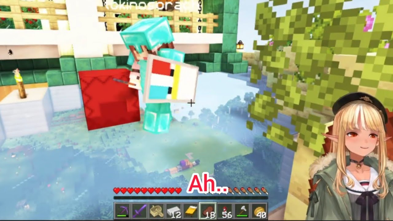 Ninja Flare observes Sora-chan while building